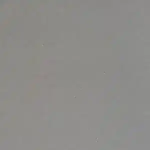 Asgrijs — B.0. 115 MGR 203