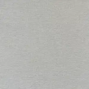 Lichtzilver — B.0. 207 9200