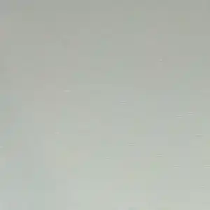 Mintgrijs — B.0. 224 4169