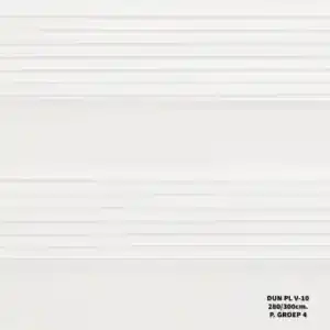 Sneeuwwit — DUN PL V-10