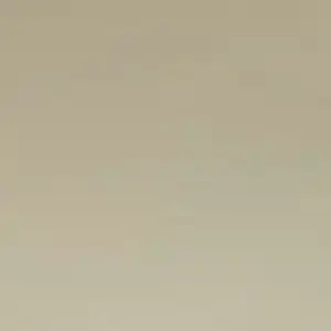 Beige — R.G. 09 C.T. 26