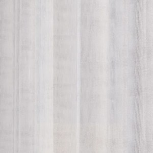 Lino 08